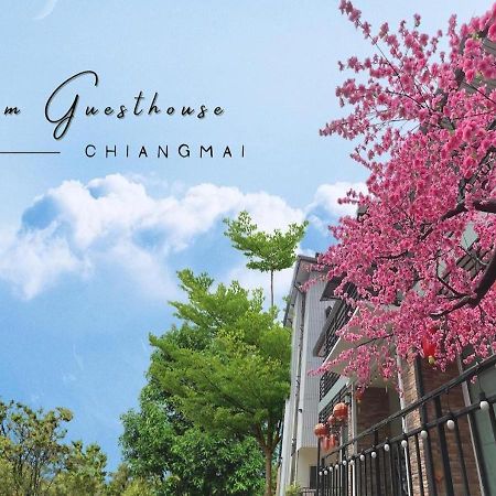 Bloom Guesthouse Τσιάνγκ Μάι Εξωτερικό φωτογραφία